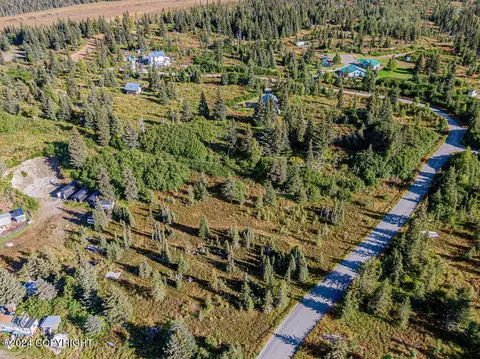 View/Area - 67470 Fishhook Rd, Ninilchik, AK 99639 photo 8 of 13