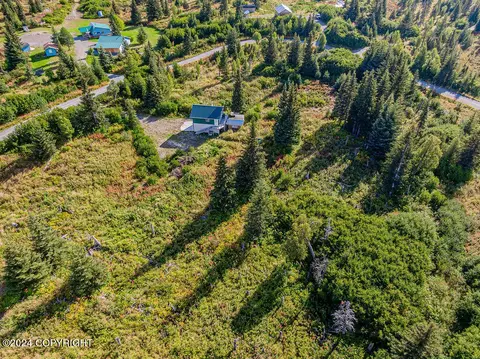 View/Area - 67470 Fishhook Rd, Ninilchik, AK 99639 photo 9 of 13