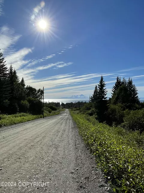View/Area - 67470 Fishhook Rd, Ninilchik, AK 99639 photo 5 of 13