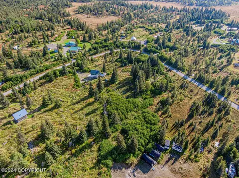 View/Area - 67470 Fishhook Rd, Ninilchik, AK 99639 photo 2 of 13