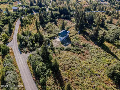 View/Area - 67470 Fishhook Rd, Ninilchik, AK 99639 photo 3 of 13
