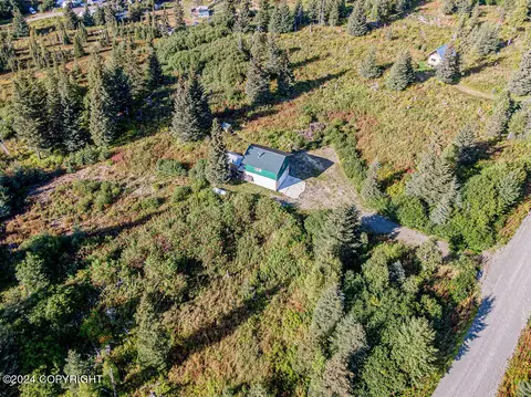 View/Area - 67470 Fishhook Rd, Ninilchik, AK 99639 photo 11 of 13