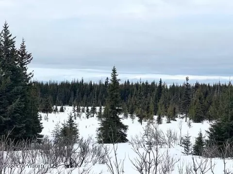 60655 Crossman Ridge Rd, Homer, AK 99603