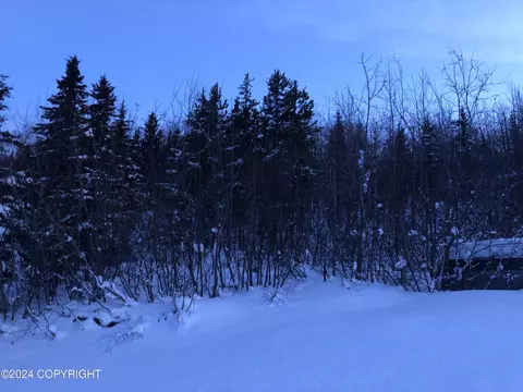 11247 Steeple Dr, Eagle River, AK 99577 photo 3