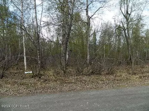 19117 W Blue Goose Dr, Wasilla, AK 99654
