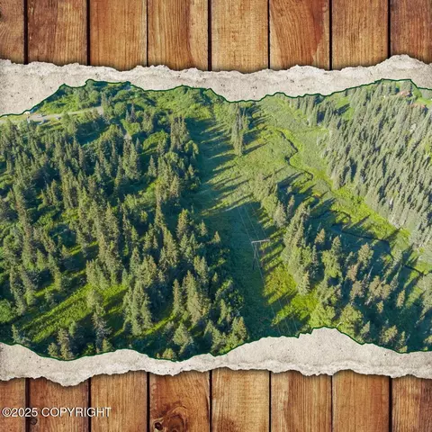 68650 Homestead Rd, Ninilchik, AK 99639