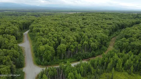 506 S Mount Iron St, Willow, AK 99688