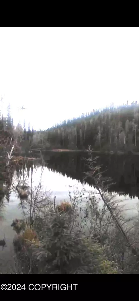 Nhn Sled Rd, Clear, AK 99744
