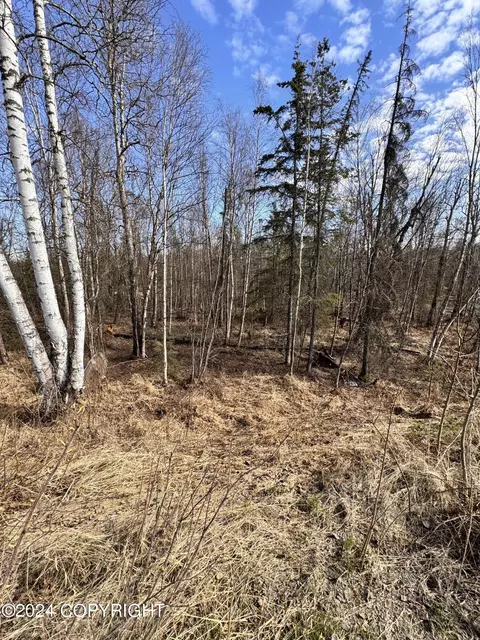 4651 Coleman Dr, Wasilla, AK 99654