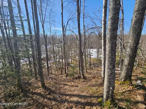 48176 S Dolly Varden Dr, Willow, AK 99688