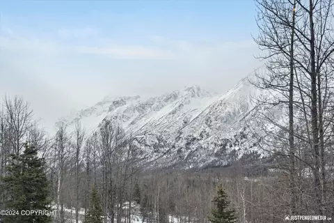 Other - 2016 Mount Kiliak Cir, Eagle River, AK 99577 photo 15 of 16