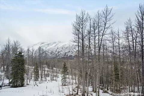 Other - 2016 Mount Kiliak Cir, Eagle River, AK 99577 photo 16 of 16