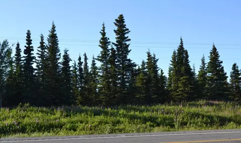 56243 Resolution Rd, Clam Gulch, AK 99568