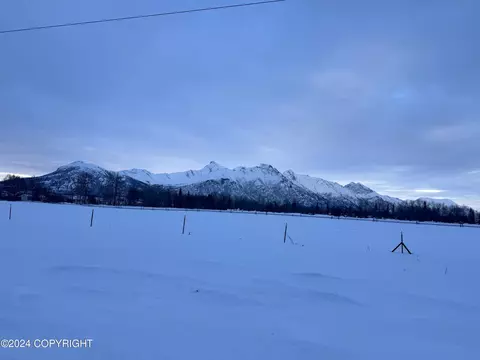 1041 Caulkins St, Palmer, AK 99645