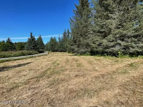 74124 Seaward Ave, Anchor Point, AK 99556