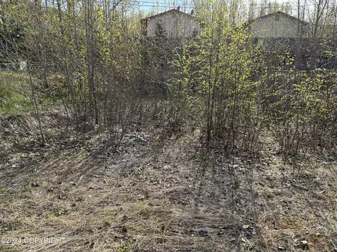 115 Grand Larry St, Anchorage, AK 99504