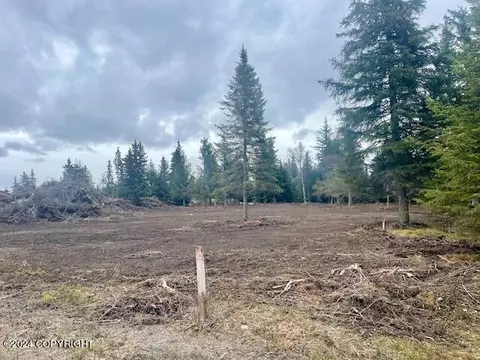 72735 Grumman Ave, Anchor Point, AK 99556