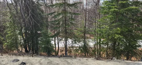 16446 Willow Fishhook Rd, Willow, AK 99688 photo 3