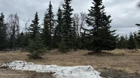 66352 Bluff Dr, Ninilchik, AK 99639 photo 13