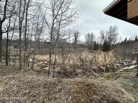 73564 Ann Rd, Anchor Point, AK 99556