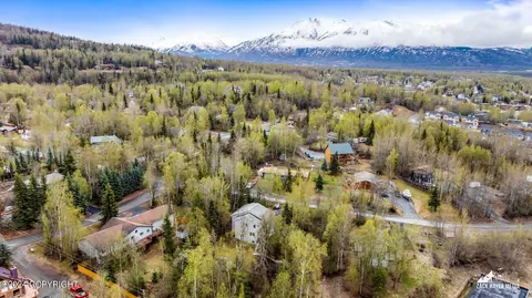 View/Area - 17135 Santa Maria Dr, Eagle River, AK 99577 photo 14 of 14