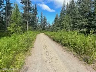 L3 Brillo Road, Anchor Point, AK 99556