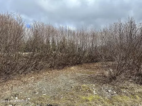 36506 Fox Rd, Anchor Point, AK 99556