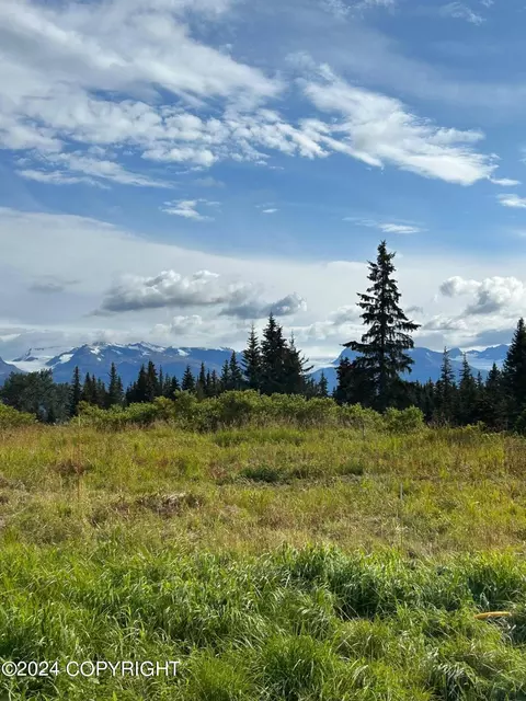 29100 Caribou View Ln, Homer, AK 99603