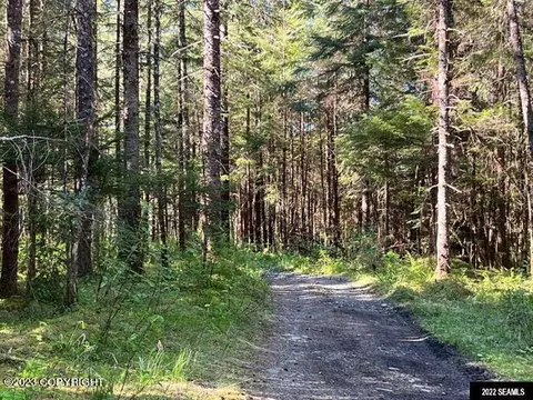 lot3 Block D Excursion Inlt S, Remote, AK 99826 photo 2