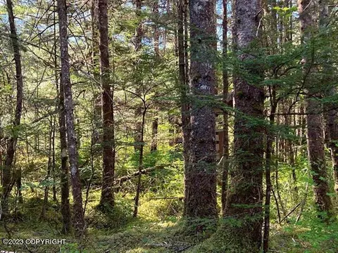 lot3 Block D Excursion Inlt S, Remote, AK 99826 photo 3