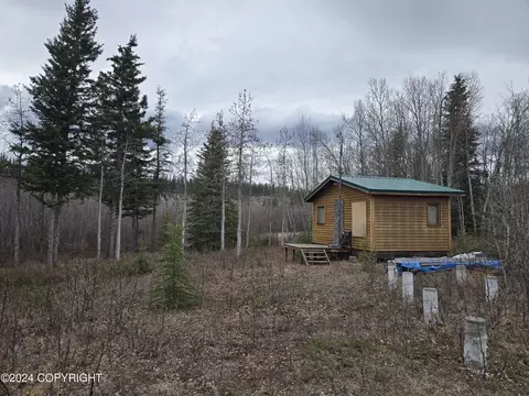 L13 Tazlina Loop Road, Copper Center, AK 99573