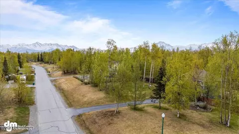 View/Area - 3949 E Serendipity Loop, Wasilla, AK 99654 photo 1 of 11