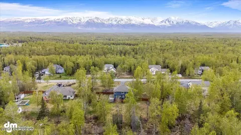 View/Area - 3949 E Serendipity Loop, Wasilla, AK 99654 photo 9 of 11