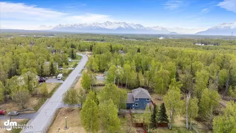 View/Area - 3949 E Serendipity Loop, Wasilla, AK 99654 photo 7 of 11