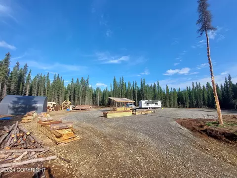 Nhn Borealis Avenue, Tok, AK 99780