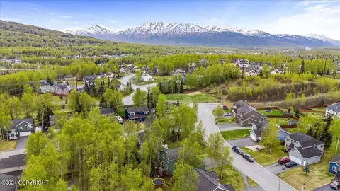 View/Area - 16511 Nicoli Way, Eagle River, AK 99577 photo 4 of 4