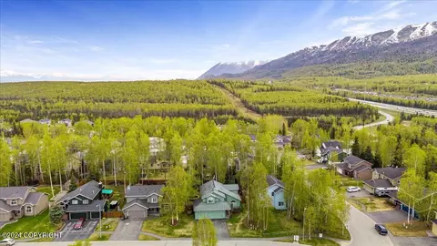 View/Area - 16511 Nicoli Way, Eagle River, AK 99577 photo 2 of 4