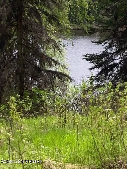 52155 Sterling Hwy, Kasilof, AK 99610