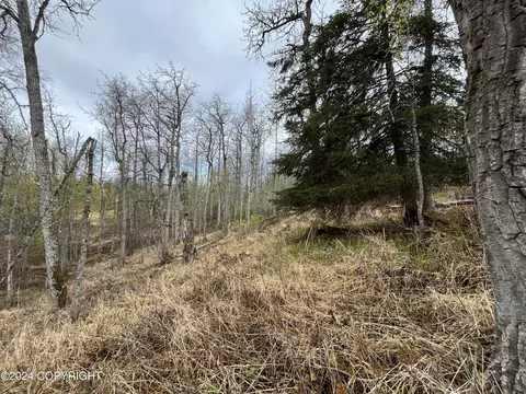 53625 Kenai Spur Hwy, Nikiskinorth Kenai, AK 99635