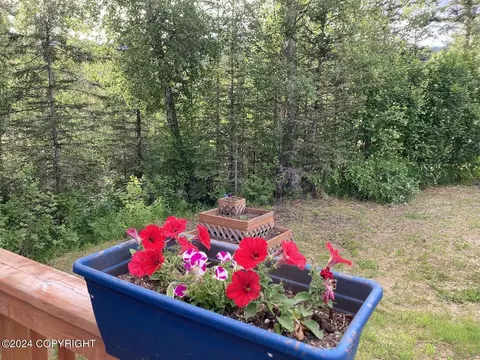 11155 N Coal Dr, Sutton, AK 99674 photo 26