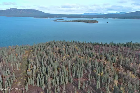 L3b4 Black Bear Road, Aleknagik, AK 99555