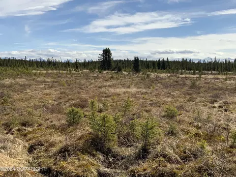 39625 Flash Cir, Sterling, AK 99672 photo 55