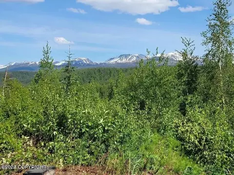41685 S Running River Dr, Talkeetna, AK 99676 photo 13