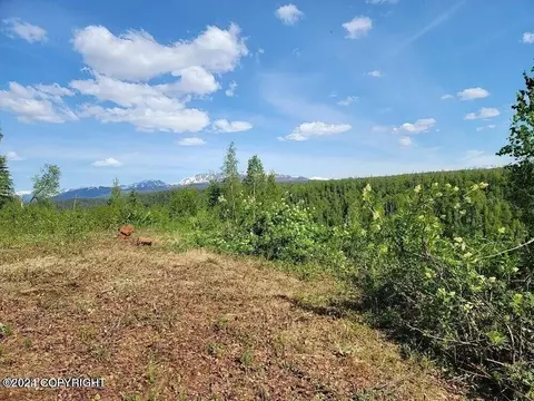 41685 S Running River Dr, Talkeetna, AK 99676 photo 6