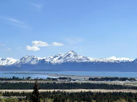 4750 Hough Rd, Homer, AK 99603