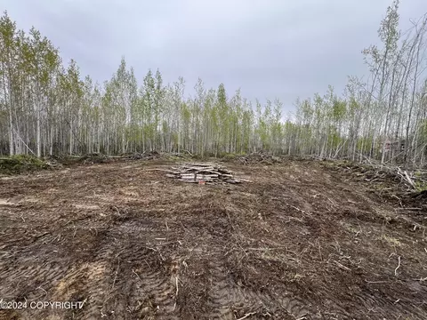 2723 S Beechwood Cir, Big Lake, AK 99652