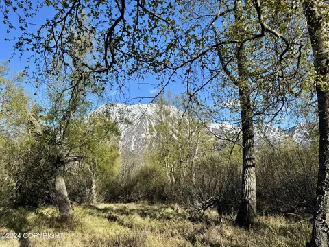 Nhn Permanente Trail, Chickaloon, AK 99674