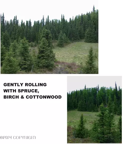 L2 B1 Rolling Hills Drive, Remote, AK 99683