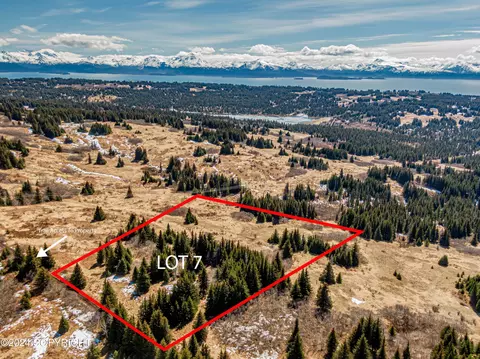 L7 Salin's Spur Road, Homer, AK 99603