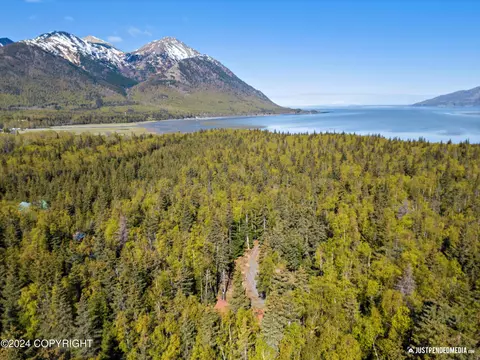 25289 Mathison Rd, Hope, AK 99605 photo 30